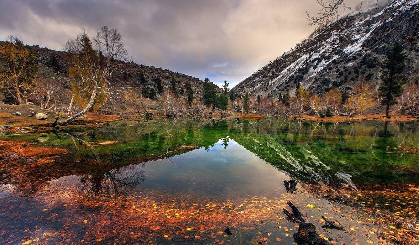 Naltar Valley, Gilgit-Baltistan, Pakistan
